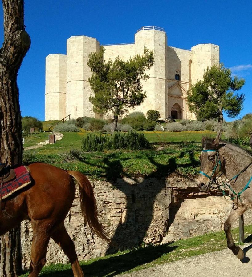 Casa Vacanza Dei Greci Barletta Exterior foto